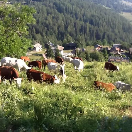 Luminoso Monolocale Panoramico *